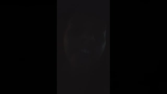 Draolivia  16-05-2022